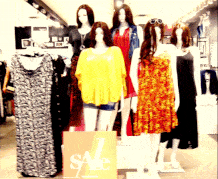 <i>RETAIL BASICS</i> &#8482;<br>Your Store Online Free Of Cost